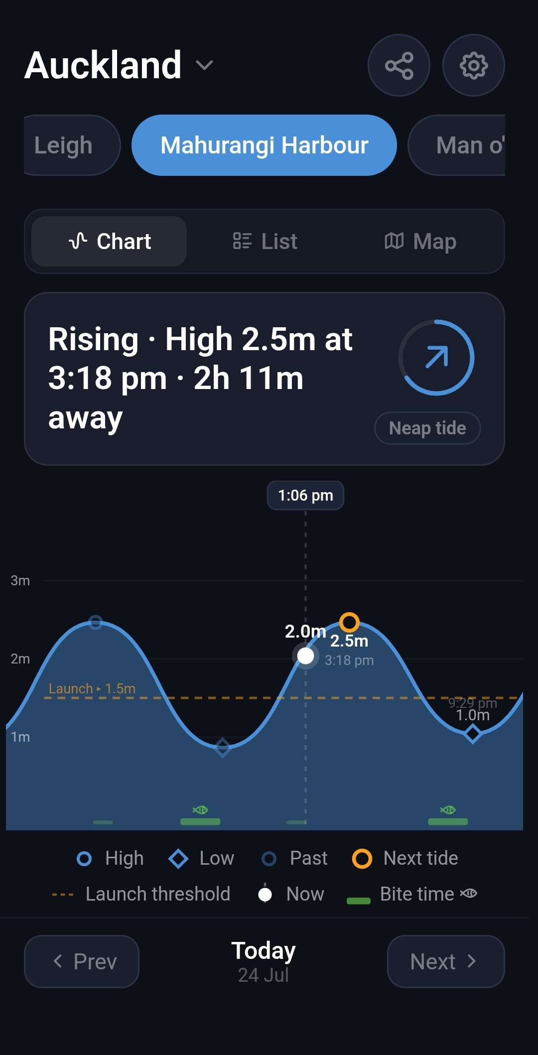 Tideline NZ tide chart showing today's high and low tide times for an Auckland port, working offline